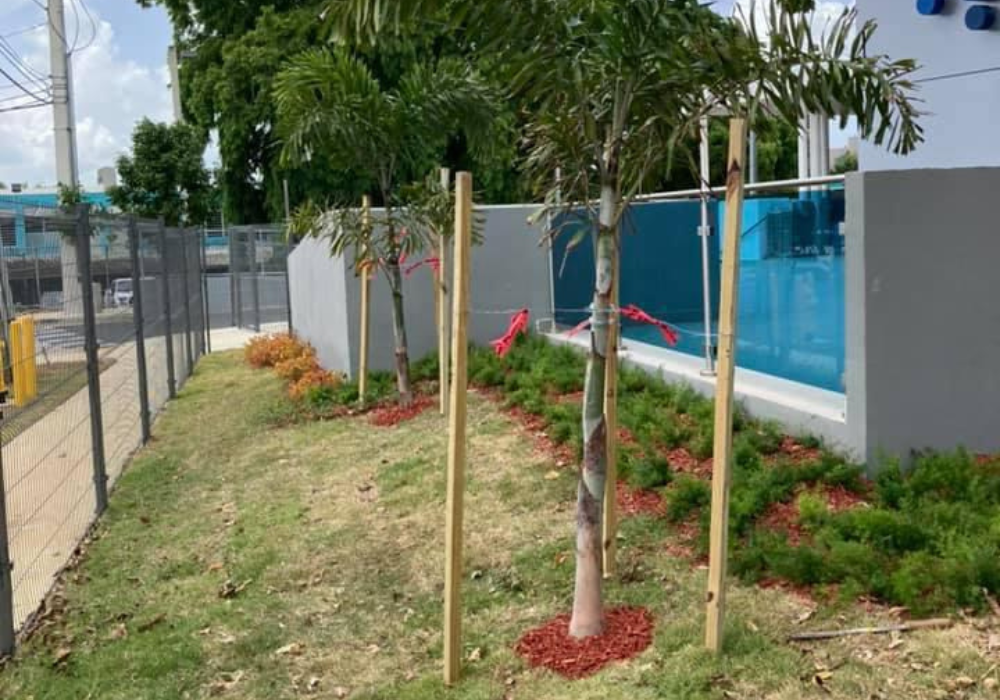 servicio-mantenimiento-jardin